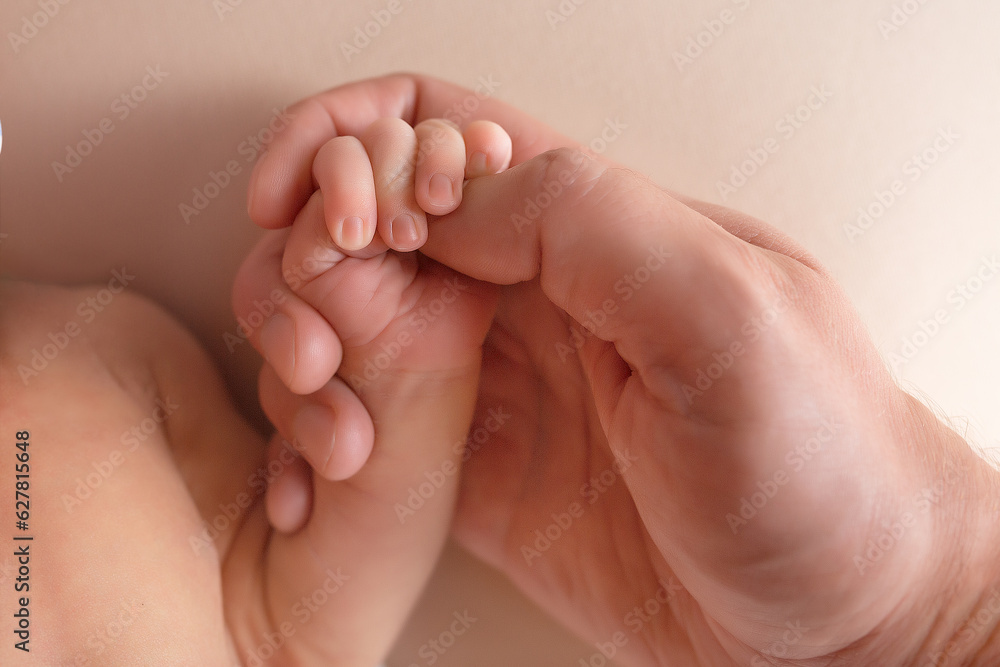 newborn baby holds mom's finger. hand of a newborn baby newborn baby holds mom's finger. hand of a newborn baby
