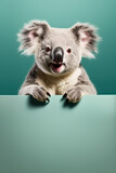 Cute small koala bear, studio portrait with copy space below. Generative AI