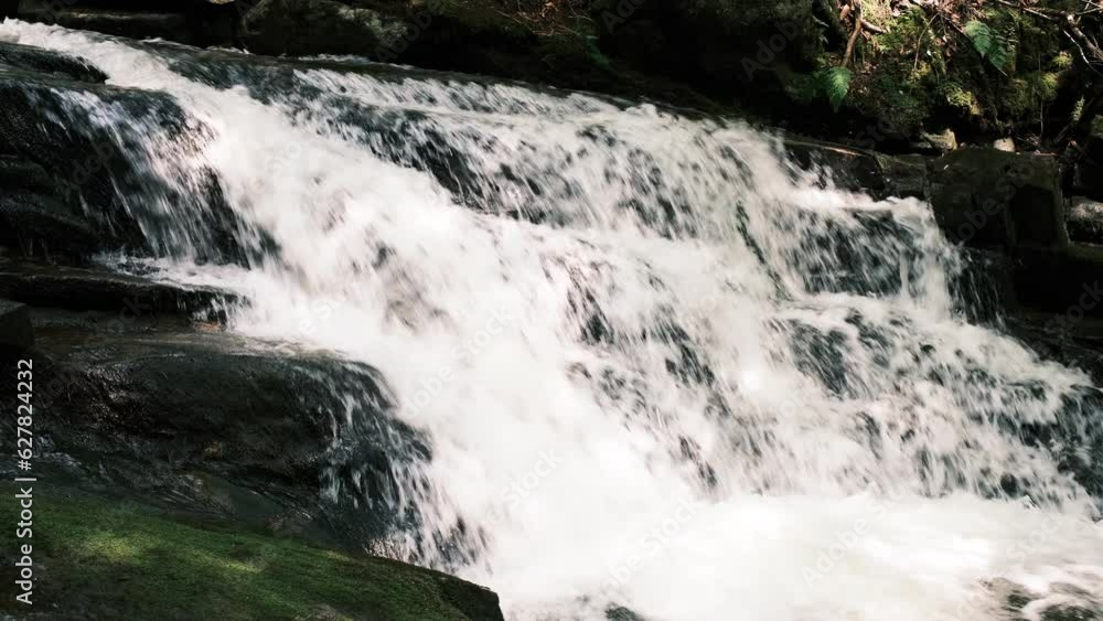 une rivière dans la forêt boréale au Québec une rivière dans la forêt boréale au Québec