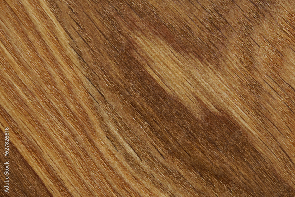 Naklejka premium A cut of a natural oak board. Natural rustic background or backdrop. Macro. Photo
