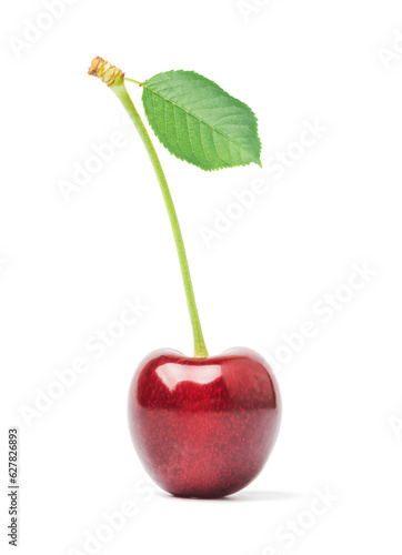 fresh cherry fruits with green leaves isolated on white background