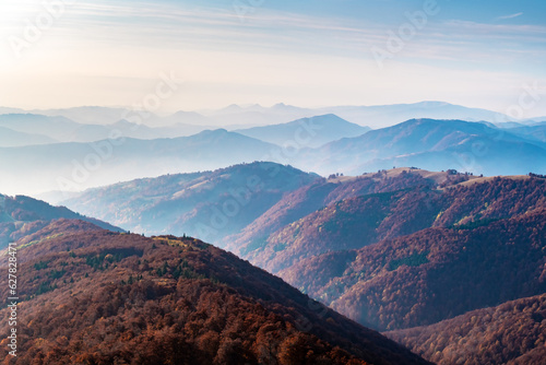 Aautumn mountains range with red beech forest and foggy hills on background. Landscape photography photo