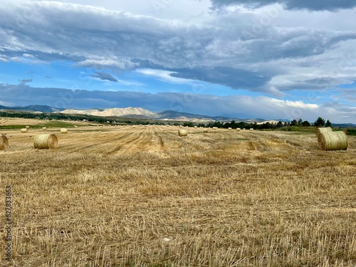 Field of hay bales with mountains and blue sky