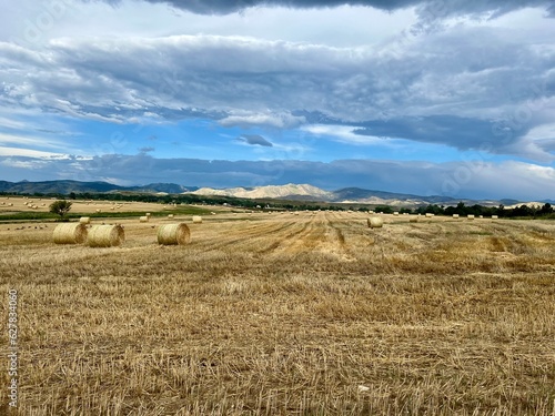Field of hay bales with mountains and blue sky