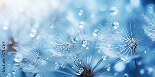 Macro dandelion seed background