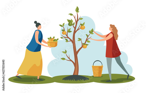 People working at garden. Women collecting apples from tree in garden. Worker characters holding baskets and buckets