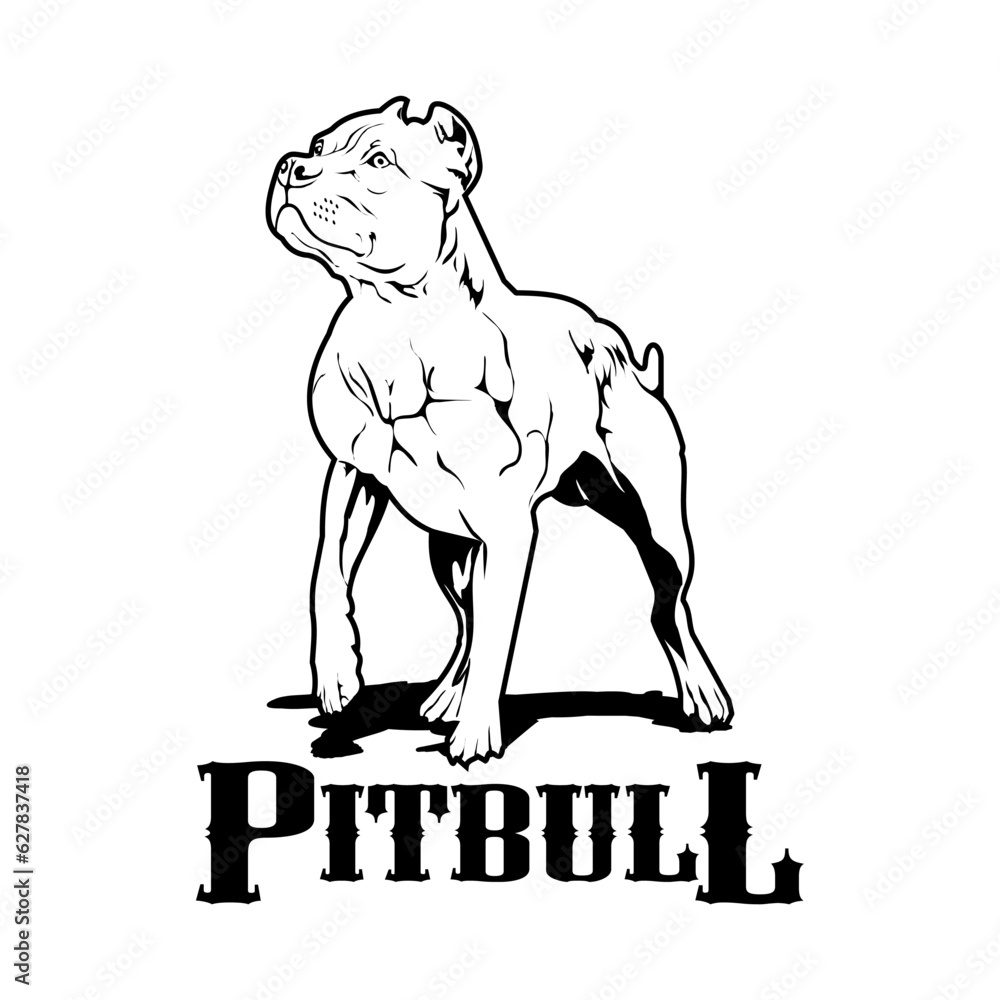 American Pitbull Terrier dog. vector illustration