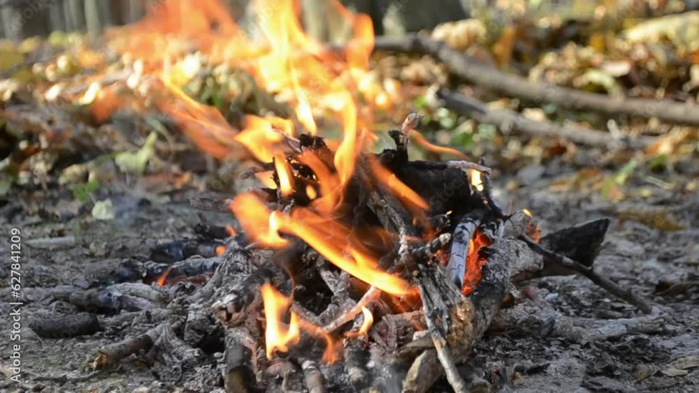 a small fire burns in forest a small fire burns in forest