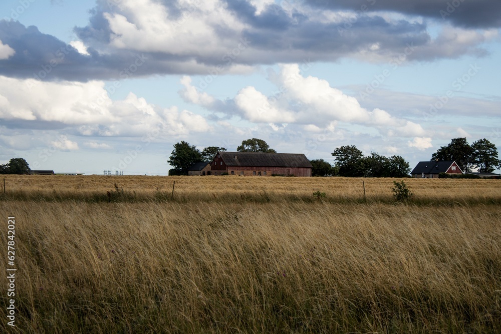 A large field with a house in the distance