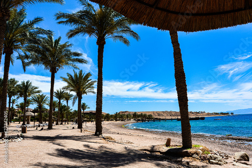 Paradise on the Red Sea: White Sand, Palm Trees, and Rocks