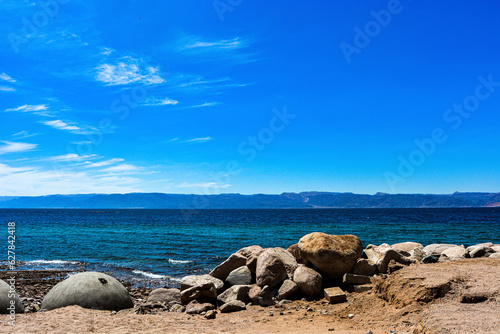 Paradise on the Red Sea: White Sand, Palm Trees, and Rocks