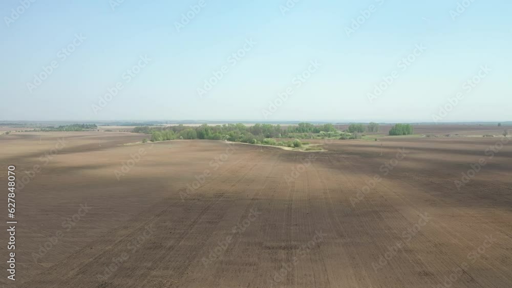 A field with saplings next to the forest in summer A field with saplings next to the forest in summer