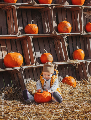 A toddler on a pumpkin farm with a large orange pumpkin, nice sunny family day at a pumpkin patch farm, family time well spent