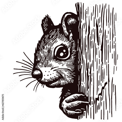 Curious squirrel peering out from behind a tree illustration