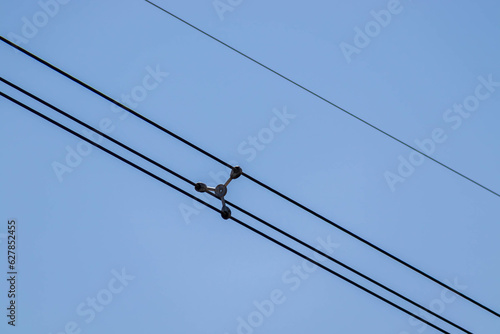 Closeup of four overhead power lines and a line spacer against an overcast sky power line separator