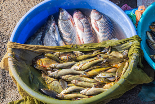 Fresh fish for sale in a village of Jammu and Kashmir.