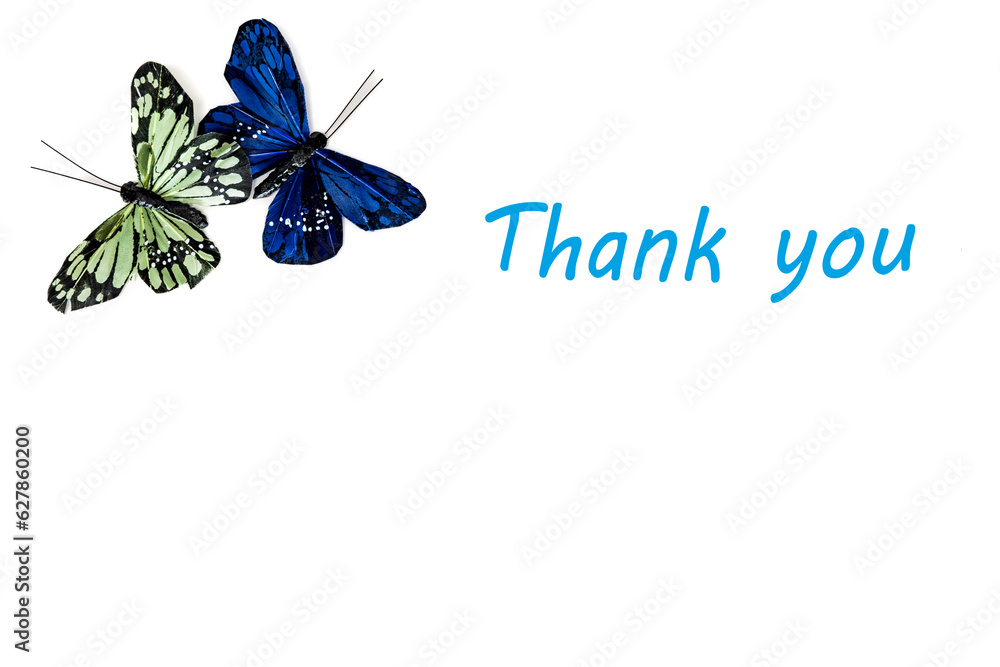 blue butterfly on white background with tettering blue butterfly on white background with tettering
