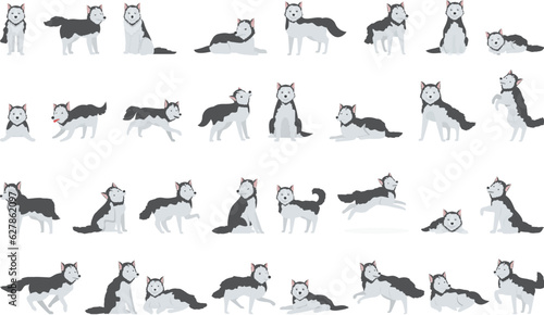 Siberian Husky icons set cartoon vector. Dog breed. Wolf pet