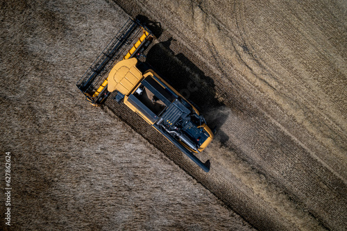 top down view of wheat harvest