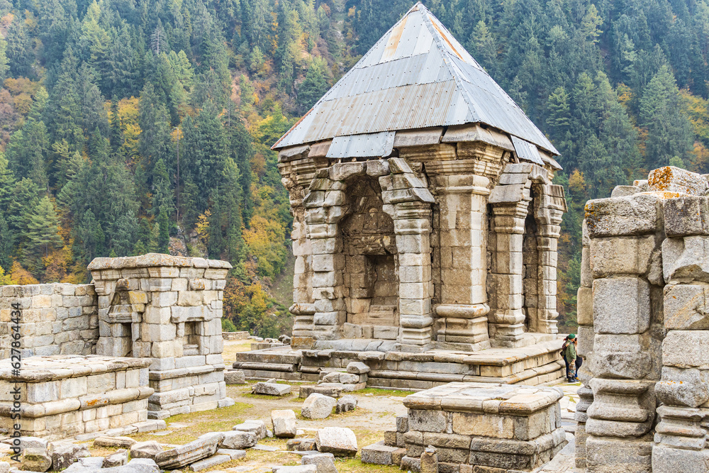 The Naranag Temples archaeological site in Jammu and Kashmir.