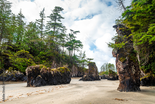The Beaches Of San Joseph Bay. Vancouver Island, British Columbia, Canada.