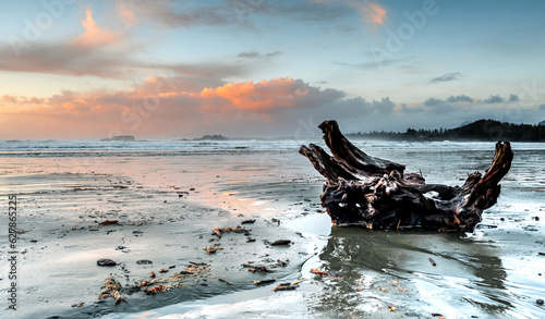 West Coast Sunset In Tofino. Vancouver Island, British Columbia, Canada.