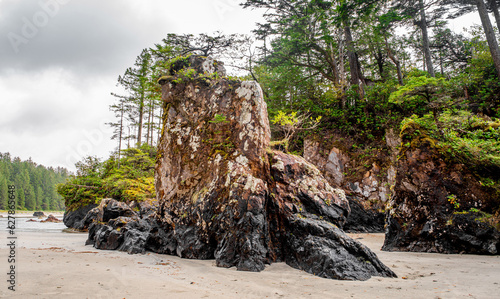 Sea Pillars Of San Joseph Bay. Vancouver Island, British Columbia, Canada.