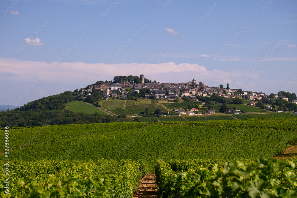 View on vineyards around Sancerre wine making village, rows of sauvignon blanc grapes on hills with different soils, Cher, Loire valley, France