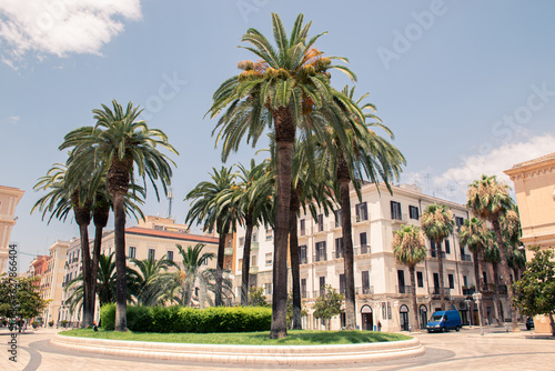 Palm trees in the main street of Taranto, Italy. 