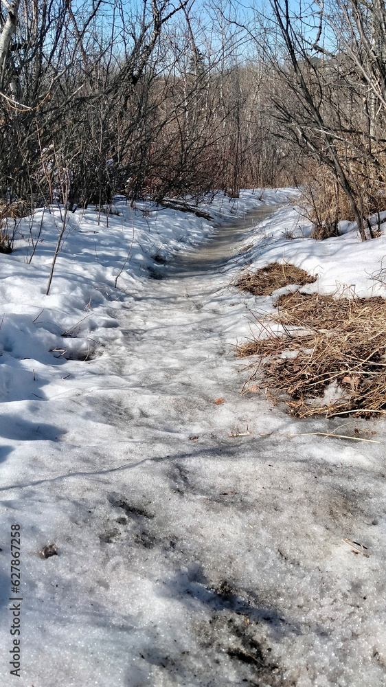 footpath in the forest covered with ice and snow in winter in Canada footpath in the forest covered with ice and snow in winter in Canada