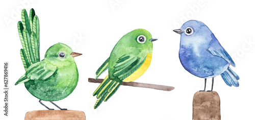 Watercolour illustration set of three various birds in green, yellow and blue purple color. Hand painted water color graphic sketch on white background, cutout clip art elements for design decoration. © Julija