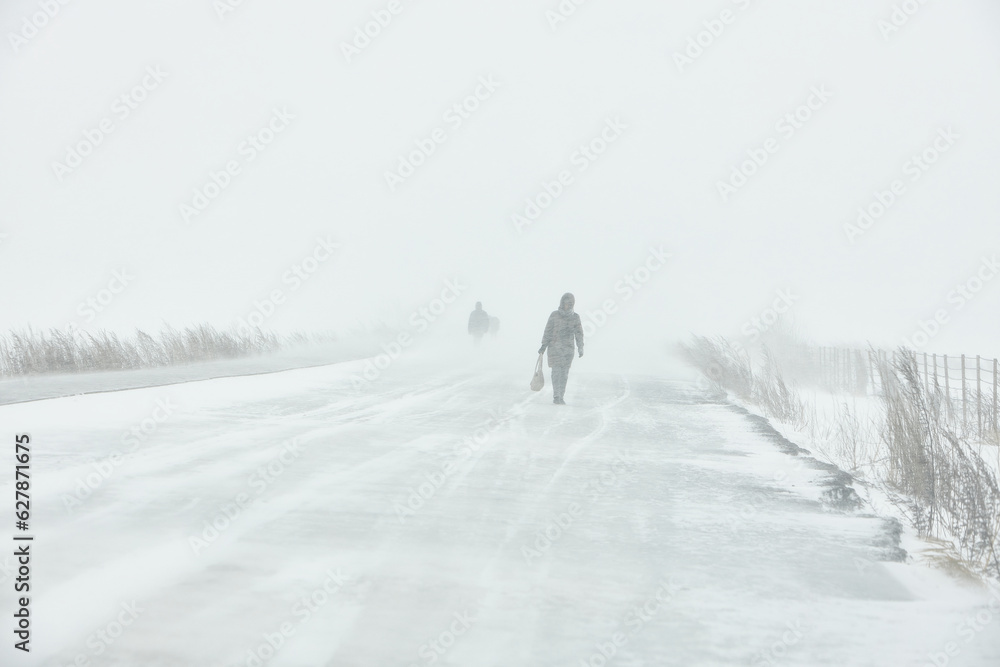 A snowstorm. People walk down the street during a snowstorm. Heavy snowfall.  against the background of a cold urban landscape.