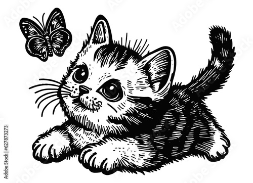 cute cat looking at a butterfly illustration
