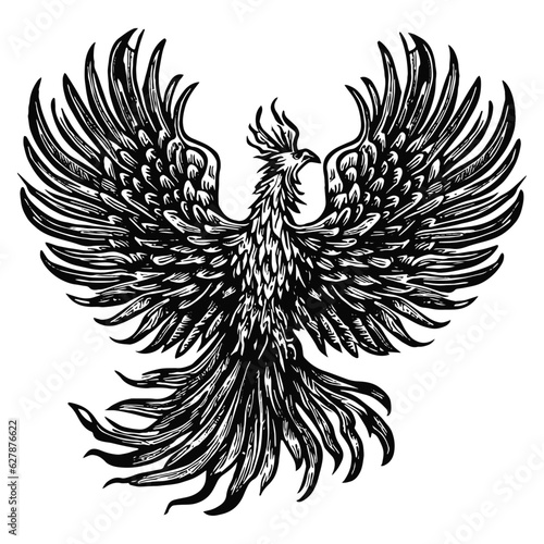 flying phoenix bird illustration