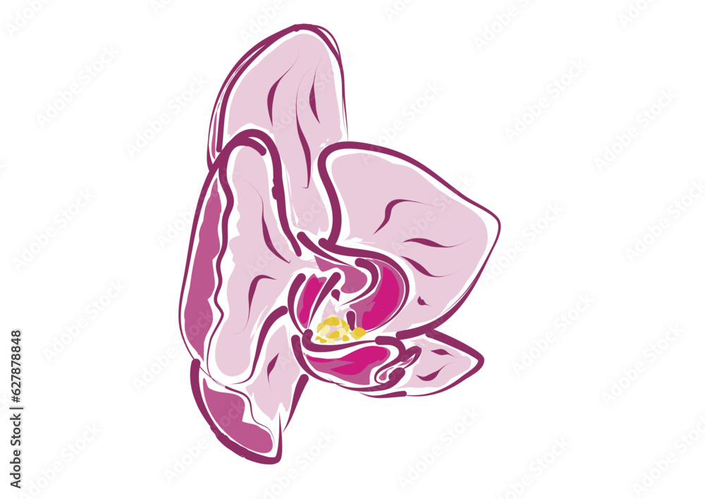 Pink Phalaenopsis Orchid, Stylized Vector Asset Pink Phalaenopsis Orchid, Stylized Vector Asset