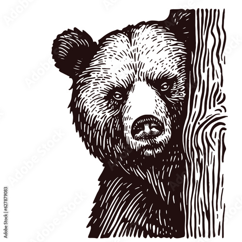 bear standing behind a tree illustration