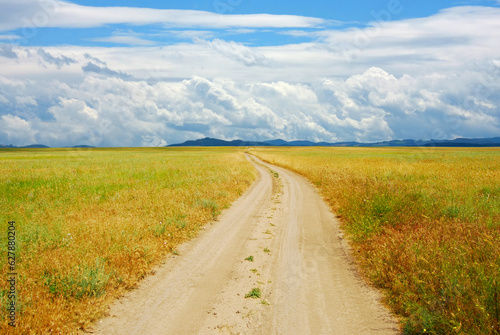 Field road in steppe overgrown with weeds