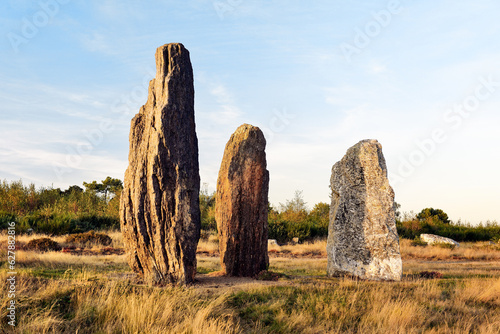 Landes de Cojoux, Saint-Just, Brittany. Part of the Moulin prehistoric menhir alignments on the east end of the Cojoux ridge
