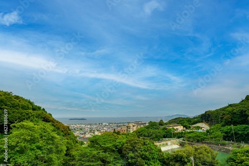 愛知県蒲郡市 アジサイの咲き誇る風景