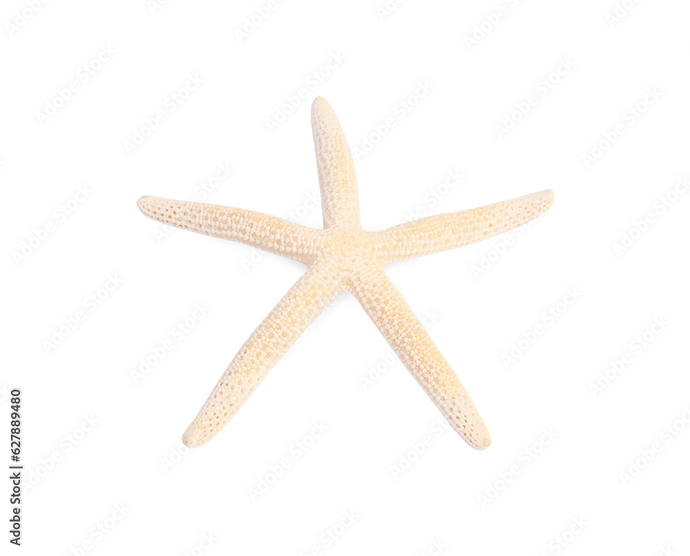 Beautiful sea star (starfish) isolated on white Beautiful sea star (starfish) isolated on white