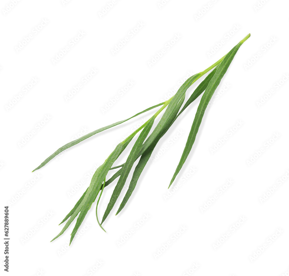 Fototapeta premium One sprig of fresh tarragon on white background, top view