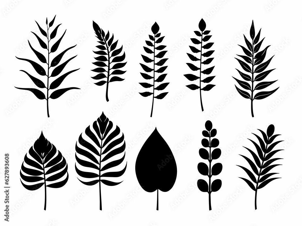 Leaves Autumn November October palm trees ficus forest fall Oak Maple alder hazel MONSTERA BUSH linden Leaves Autumn November October palm trees ficus forest fall Oak Maple alder hazel MONSTERA BUSH linden