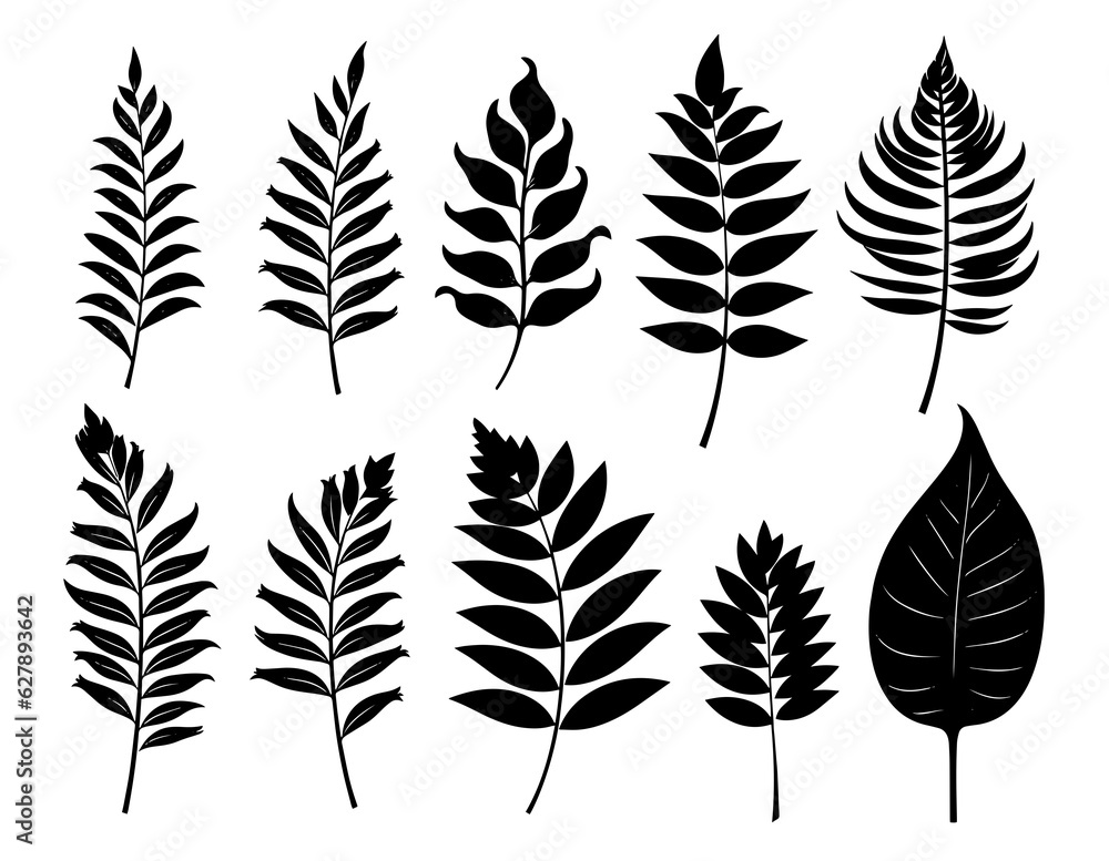 Leaves Autumn November October palm trees ficus forest fall Oak Maple alder hazel MONSTERA BUSH linden