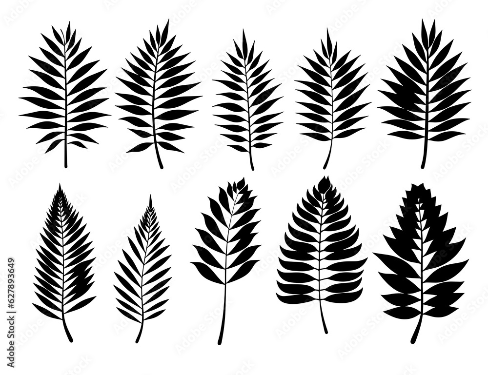 Leaves Autumn November October palm trees ficus forest fall Oak Maple alder hazel MONSTERA BUSH linden Leaves Autumn November October palm trees ficus forest fall Oak Maple alder hazel MONSTERA BUSH linden