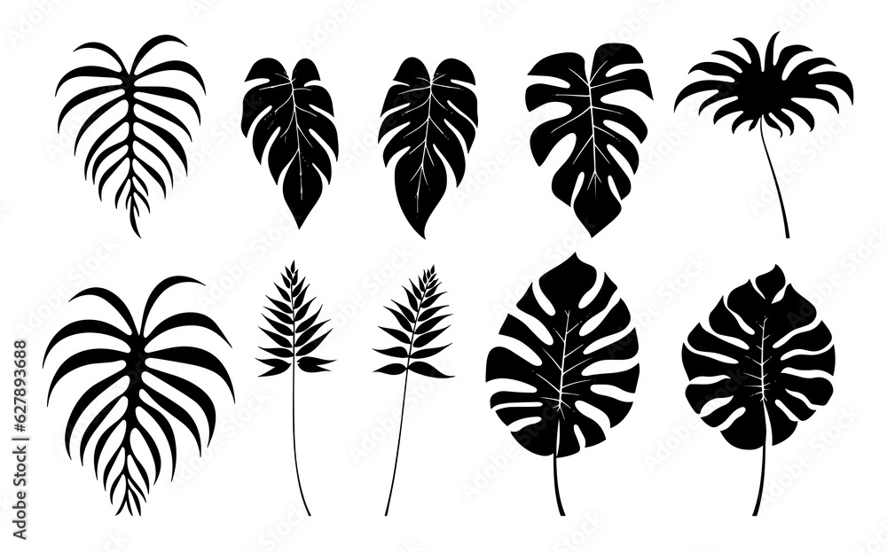 Leaves Autumn November October palm trees ficus forest fall Oak Maple alder hazel MONSTERA BUSH linden Leaves Autumn November October palm trees ficus forest fall Oak Maple alder hazel MONSTERA BUSH linden
