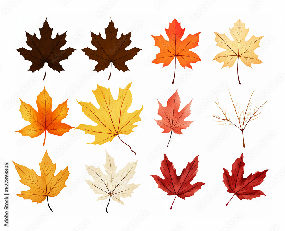 Leaves Autumn November October palm trees ficus forest fall Oak Maple alder hazel MONSTERA BUSH linden Leaves Autumn November October palm trees ficus forest fall Oak Maple alder hazel MONSTERA BUSH linden