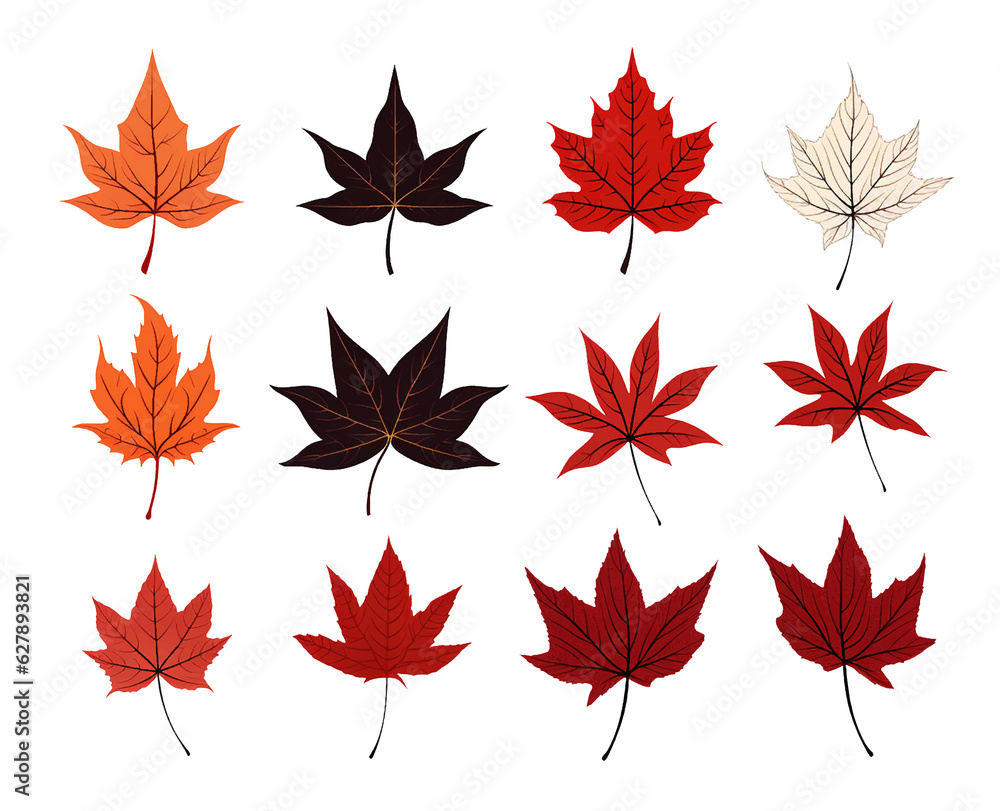 Leaves Autumn November October palm trees ficus forest fall Oak Maple alder hazel MONSTERA BUSH linden