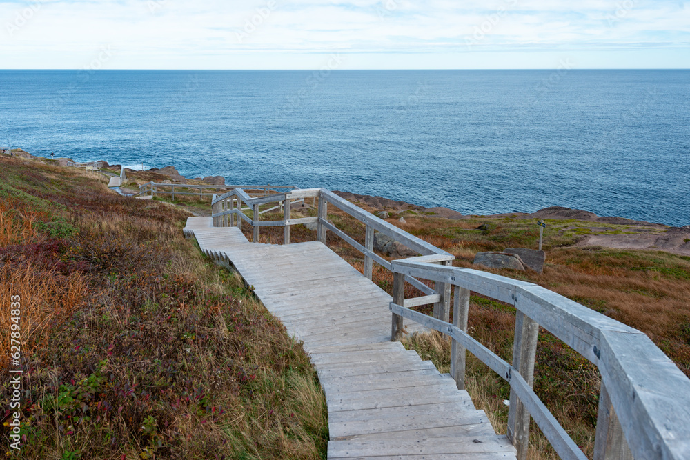 A long wood curved stairway down a rocky coastline with a wooden handrail.  The steps have a low rise. The ground is rocky with shrubs and red moss covered plants. It's a natural outdoors trail.