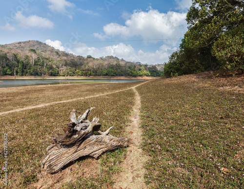 Periyar wildlife sanctuary in Kumily, Kerala, India photo