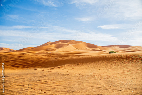 sand dunes in the desert © worm_ flag
